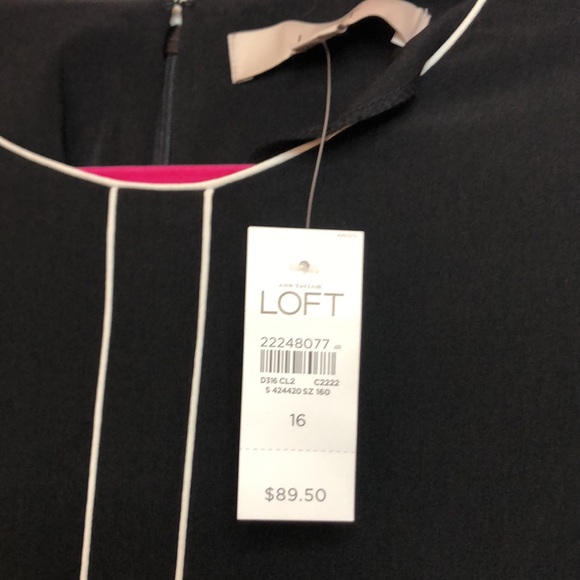 NWT LOFT black fit-and-flare style dress with white piping/trim. Size 16. - Picture 6 of 9